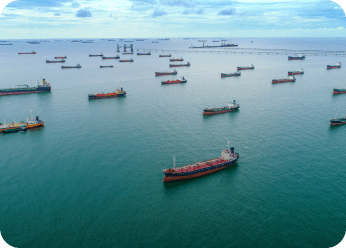 marine consultation service